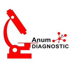 logo-1